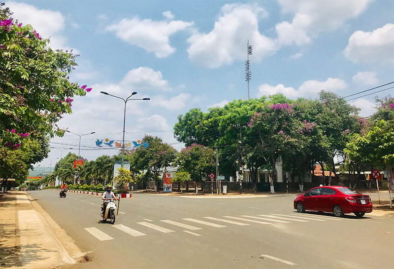 Xanh hóa Chư Prông 

